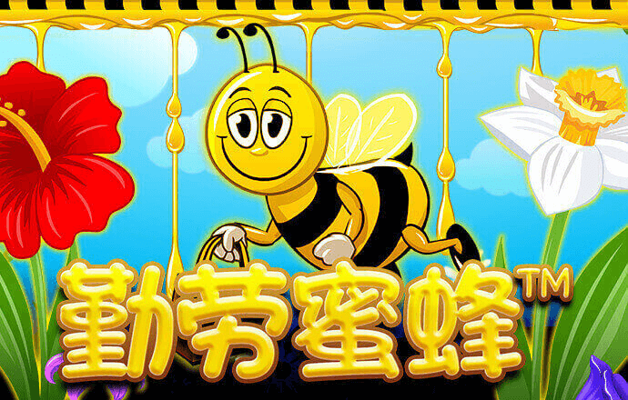 qy体育全平台是什么